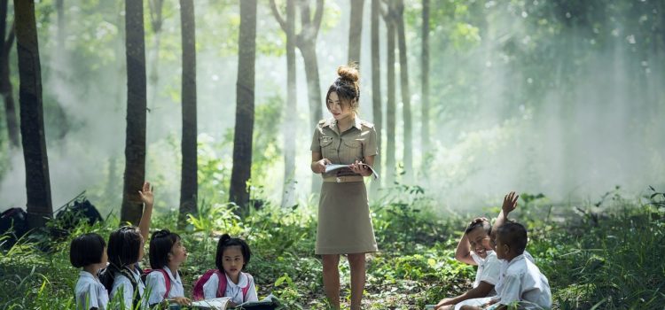 Planeta Escola Mulher de pé ensinando crianças sentadas em meio a uma floresta